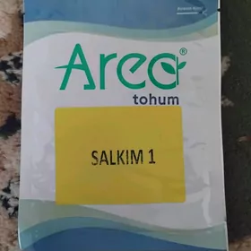 Tohum