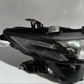 Fara Camry Gruzinka