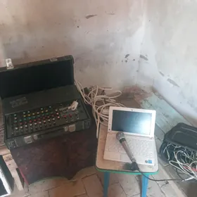 toy kalonkalar