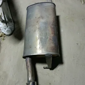 corolla gulsiteli arassaja zat