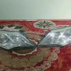 fara palta camry