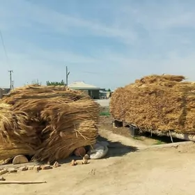 Suwselik material