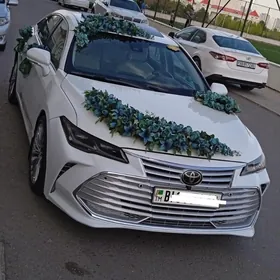 Toyota Avalon 2019
