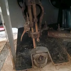 tumpuçga maşynyñ kellesi