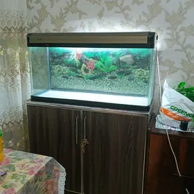 аквариум 160 л