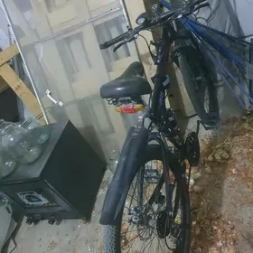 BMW велик