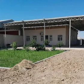 Satlyk plan jaý