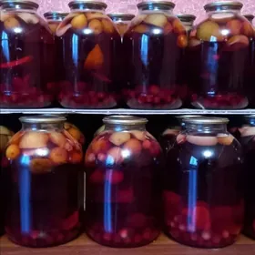 kompot salýonny