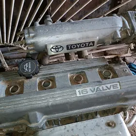 corona motor