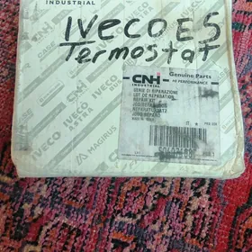 Iveko Termostat