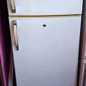 халадильник. орвика