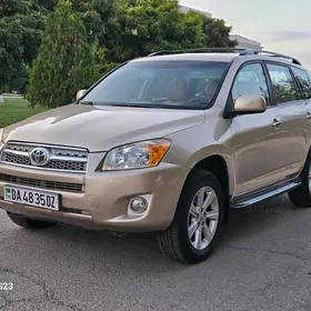 Toyota RAV4 2010
