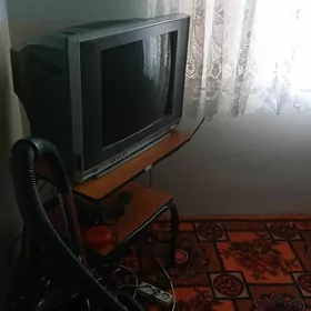 Telewizor