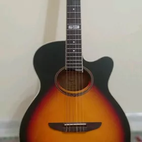 acoustic guitar