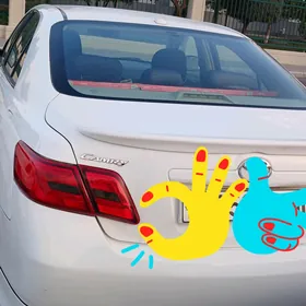 Toyota Camry 2010