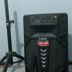 aser kompyuter bn kalonka