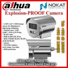 Dahua Explison-Proof, IR Bullet, IR Dome, PTZ