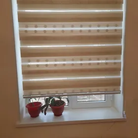 źalyuzi