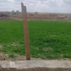 Gabakly oba jay Габаклы оба