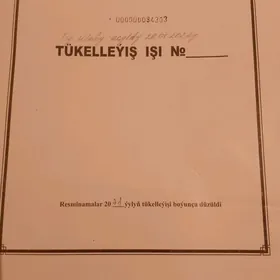 Aşgabat Akdaşaýak howly