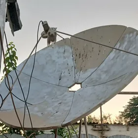 Antena uly