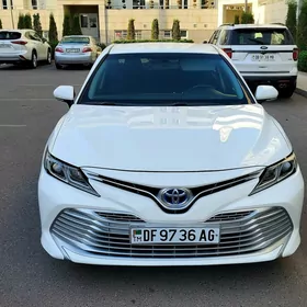 Toyota Camry 2019