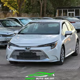 Toyota Corolla 2021