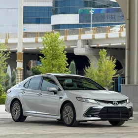 Toyota Camry 2024