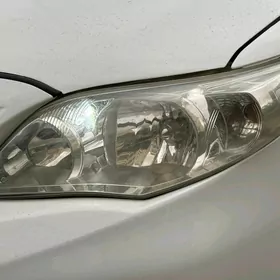 Haliji fara cep sag 12 corolla