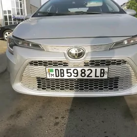 Toyota Corolla 2020