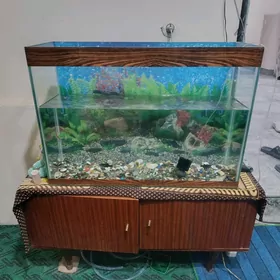 Продается аквариум