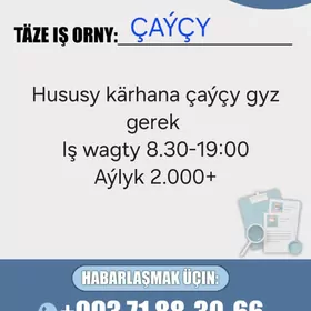 Çaýçy