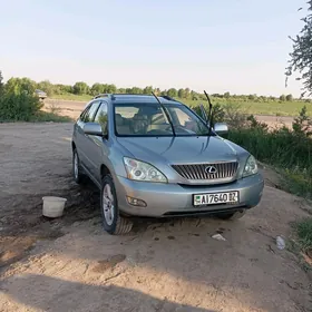 Lexus RX 330 2004