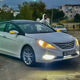 Hyundai Sonata 2010