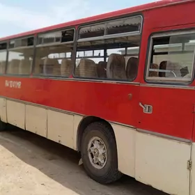 ПАЗ 3204 1980