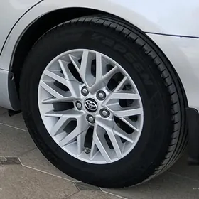 R16 Camry 2017. Disga+Pokryşka