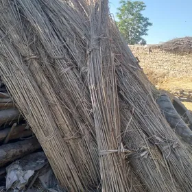 gamyş