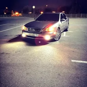 Nissan Maxima Infiniti morda.