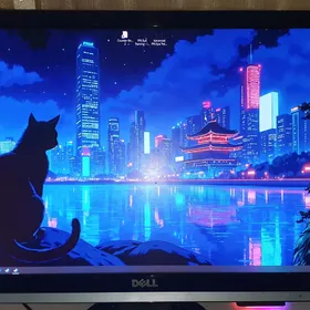 dell 23" monitor