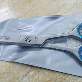 Wahl Gaycy