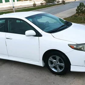 Toyota Corolla 2009