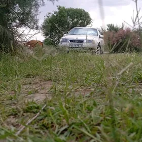 Opel Vectra 1991