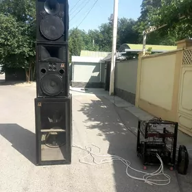toy kalonko