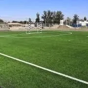 arenda fytbolny pole