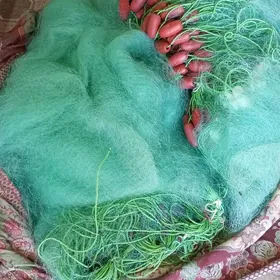 сетка