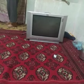telewizir
