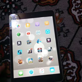 iPad mini