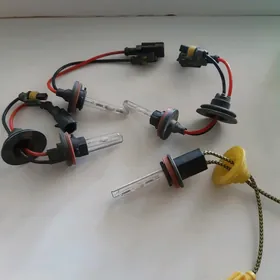 ksinon lampa