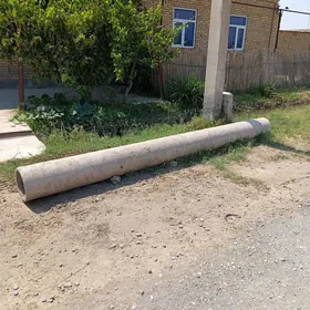 azbis turba