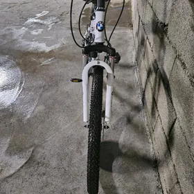 BMW tigr